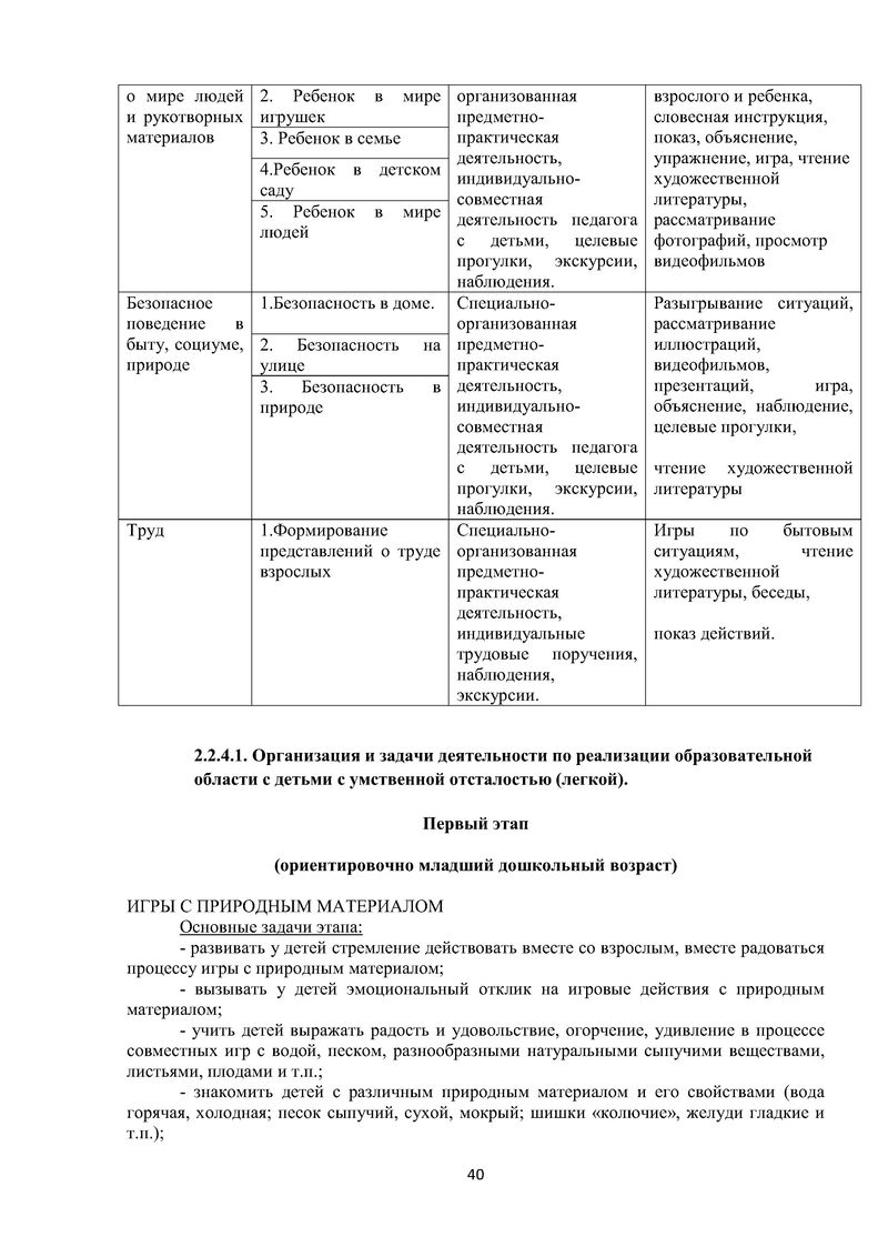 Образовательная программа дошкольного образования адаптированная для обучающихся с ограниченными возможностями здоровья (с умственной отсталостью)