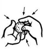 fedorova 7