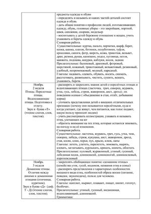 Рабочая программа учителя - логопеда группы № 1 