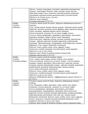Рабочая программа учителя – логопеда групп № 2 и № 10 Камфорович Ю.А. 2018-2019 уч. год. 
