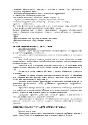 Рабочая программа учителя дефектолога Чуваевой Е.И. и воспитателей группы № 5 Егоровой Н.Ю. и Дружининой С.А. на 2018-2019 уч. год.