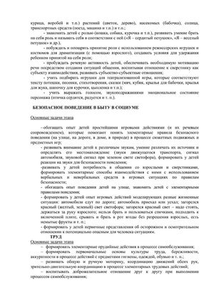 Рабочая программа учителя дефектолога Чуваевой Е.И. и воспитателей группы № 5 Егоровой Н.Ю. и Дружининой С.А. на 2018-2019 уч. год.