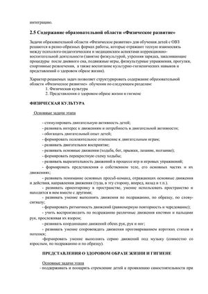 Рабочая программа учителя дефектолога Чуваевой Е.И. и воспитателей группы № 5 Егоровой Н.Ю. и Дружининой С.А. на 2018-2019 уч. год.