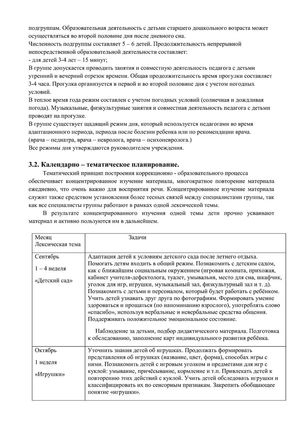 Рабочая программа учителя дефектолога Чуваевой Е.И. и воспитателей группы № 5 Егоровой Н.Ю. и Дружининой С.А. на 2018-2019 уч. год.