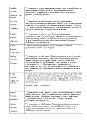 Рабочая программа учителя дефектолога Чуваевой Е.И. и воспитателей группы № 5 Егоровой Н.Ю. и Дружининой С.А. на 2018-2019 уч. год.