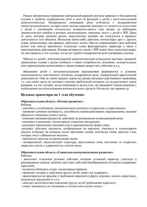 Рабочая программа учителя дефектолога Чуваевой Е.И. и воспитателей группы № 5 Егоровой Н.Ю. и Дружининой С.А. на 2018-2019 уч. год.