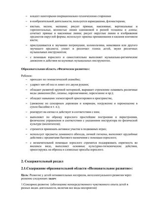 Рабочая программа учителя дефектолога Чуваевой Е.И. и воспитателей группы № 5 Егоровой Н.Ю. и Дружининой С.А. на 2018-2019 уч. год.