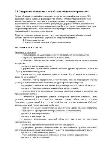 Рабочая программа учителя дефектолога Чуваевой Е.И. и воспитателей группы № 5 Егоровой Н.Ю. и Дружининой С.А. на 2019-2020 уч. год.