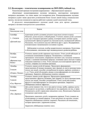 Рабочая программа учителя дефектолога Чуваевой Е.И. и воспитателей группы № 5 Егоровой Н.Ю. и Дружининой С.А. на 2019-2020 уч. год.