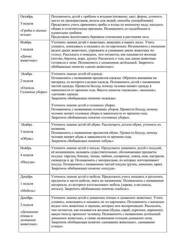 Рабочая программа учителя дефектолога Чуваевой Е.И. и воспитателей группы № 5 Егоровой Н.Ю. и Дружининой С.А. на 2019-2020 уч. год.