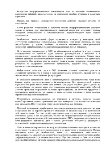 Рабочая программа учителя дефектолога Чуваевой Е.И. и воспитателей группы № 5 Егоровой Н.Ю. и Дружининой С.А. на 2019-2020 уч. год.