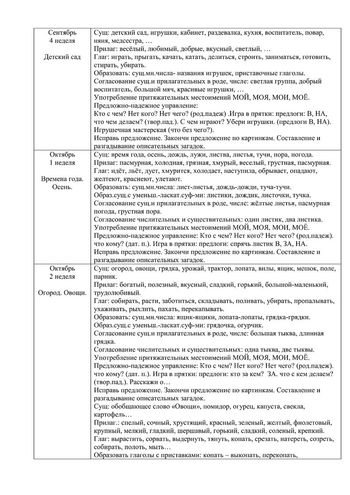 Рабочая программа учителя – логопеда группы №5 Чуваевой Е.И. 2019-2020 уч. год.