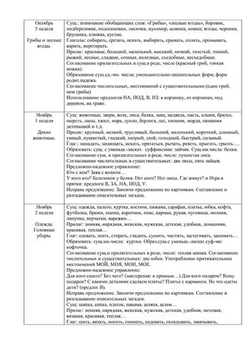 Рабочая программа учителя – логопеда группы №5 Чуваевой Е.И. 2019-2020 уч. год.