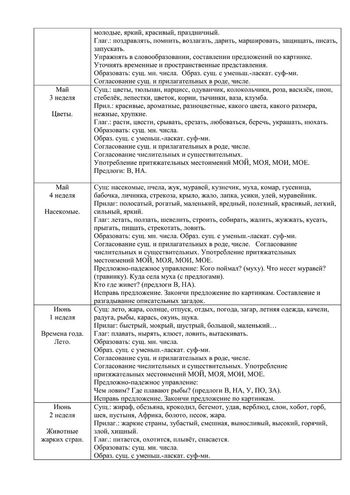 Рабочая программа учителя – логопеда группы №5 Чуваевой Е.И. 2019-2020 уч. год.